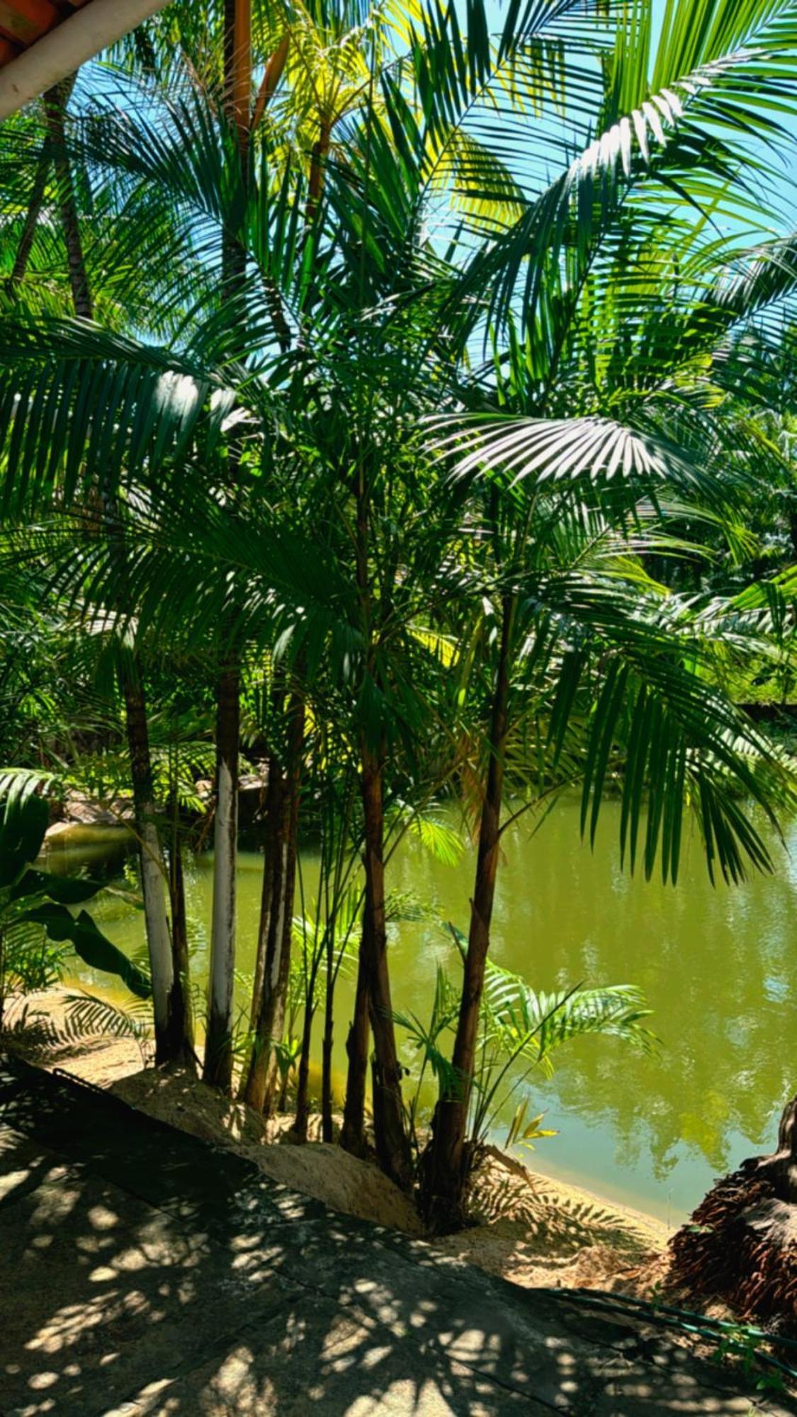 Pousada Beira Rio Barrerinhas Hotel Barreirinhas Bagian luar foto