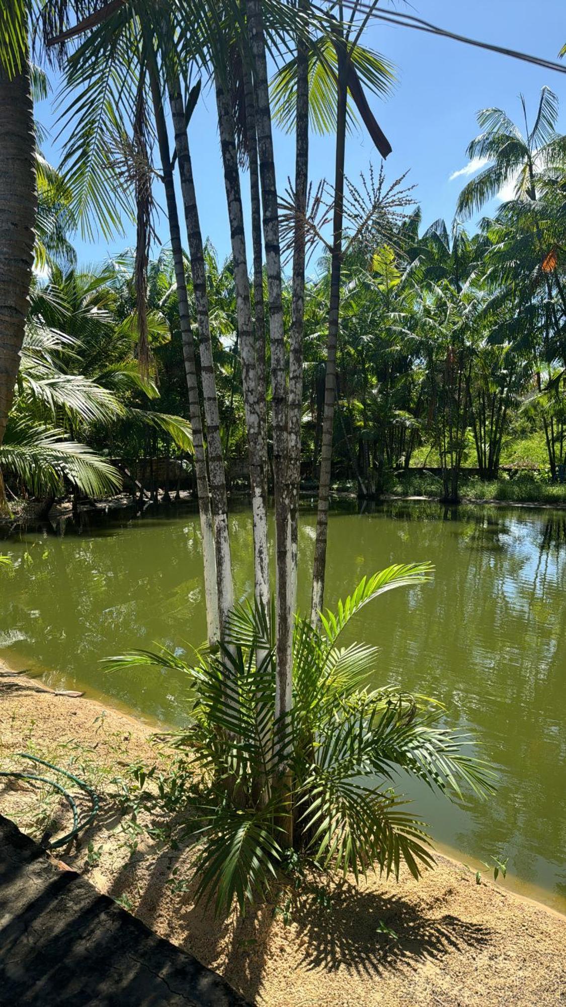 Pousada Beira Rio Barrerinhas Hotel Barreirinhas Bagian luar foto